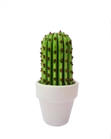 Cactus Verde In Ceramica H. 11-12 cm