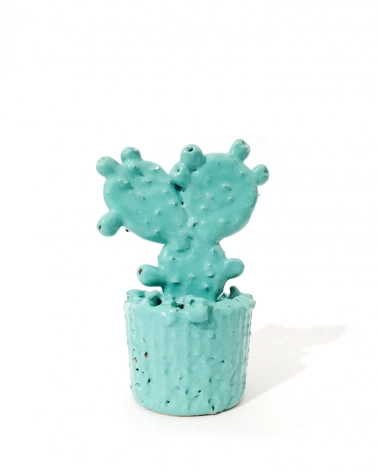 Cactus Verde Acqua in Ceramica H. 11 cm